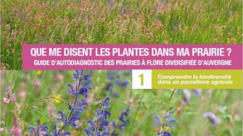 #clone-de-carrousel-d-actualit-s-block-body-1