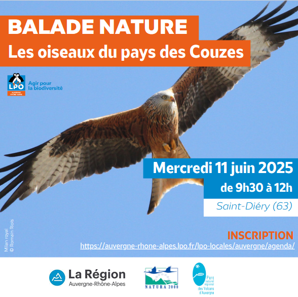Balade Nature Mercredi 11 juin 2025 à Saint-Diery