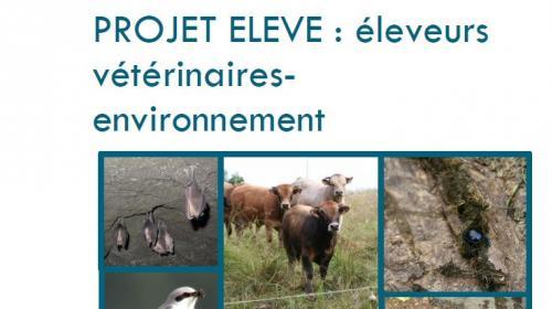 projet_eleve.jpg